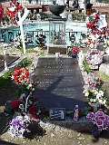 Graceland 39